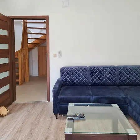 公寓 Visit Baltic - Apartament Teresa 斯维诺乌伊希切